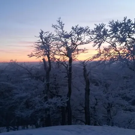 Дом отдыха Pochebachhaeusl Курорт Йонсдорф