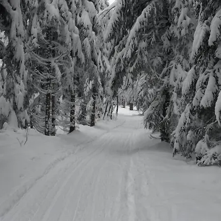 Дом отдыха Pochebachhaeusl *