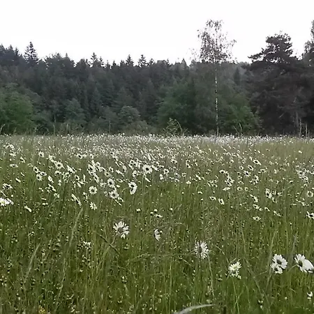 Pochebachhaeusl Дом отдыха Курорт Йонсдорф