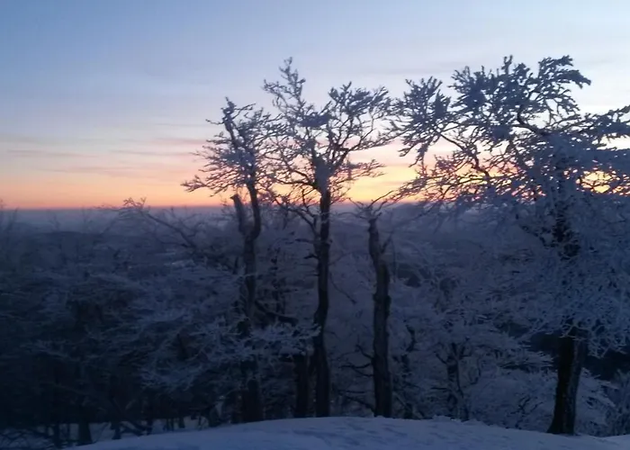 Ferienhaus Pochebachhäusl Kurort Jonsdorf