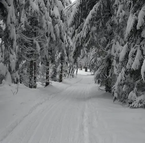 Ferienhaus Pochebachhäusl *