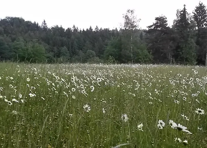 Pochebachhäusl Ferienhaus Kurort Jonsdorf