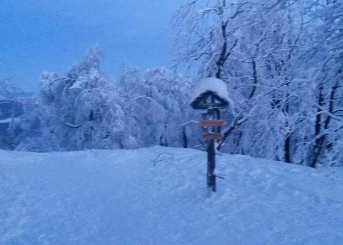 Pochebachhäusl Ferienhaus *